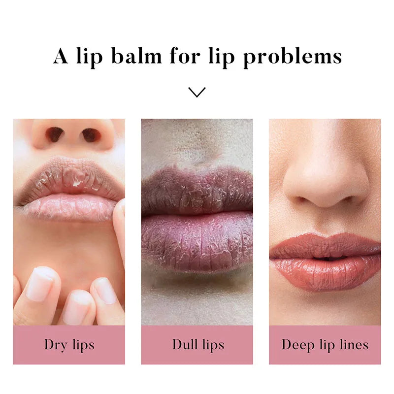 Lip Cocoa AUQUEST