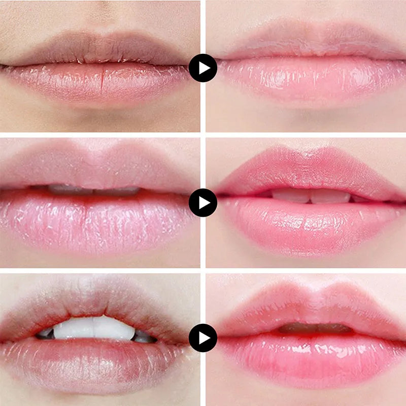 Lip Cocoa AUQUEST